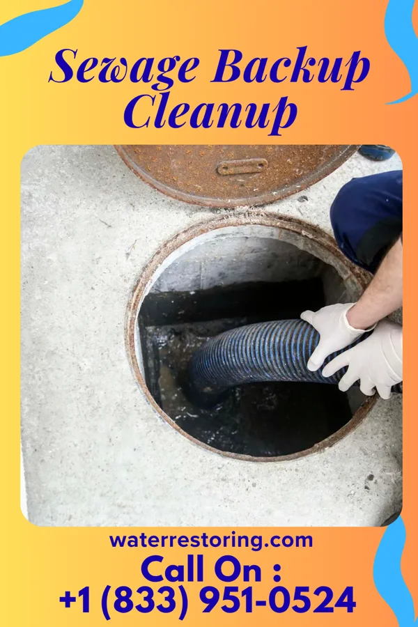 Sewage Backup Cleanup in Ravenna, OH