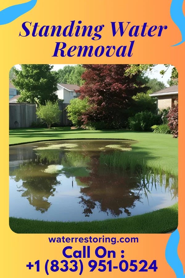 Standing Water Removal in Ravenna, OH